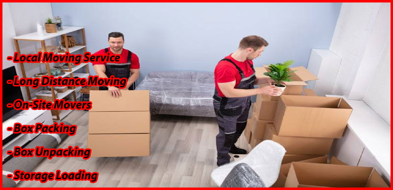 Packers And Movers Noida Sector 35